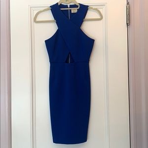 Torn by Ronny Kobo Mini Dress